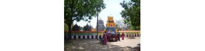 திருவாமூர்